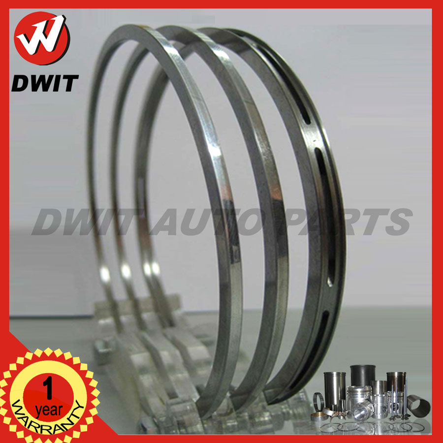 PAYKAN Piston Ring (87.335)